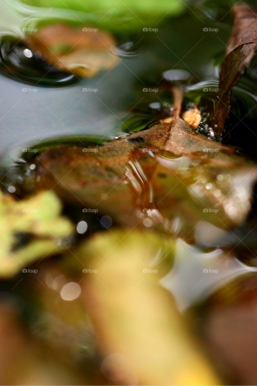 The beauty of fall..