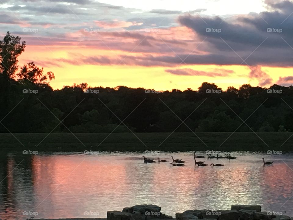 Birds of a feather flock together 