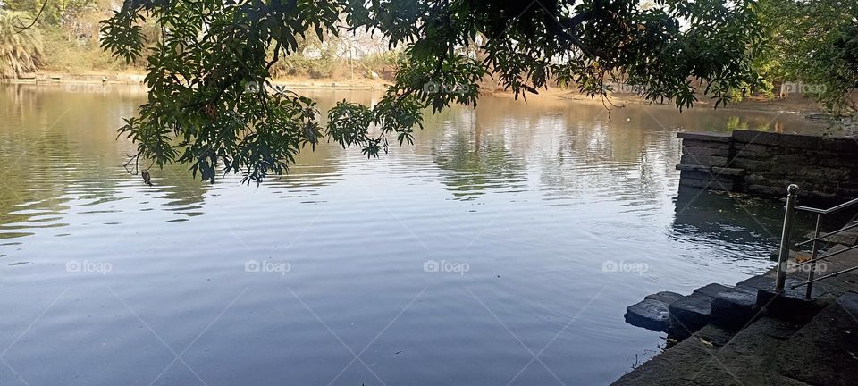 cool place for every one blue waves  with reflection of trees around it