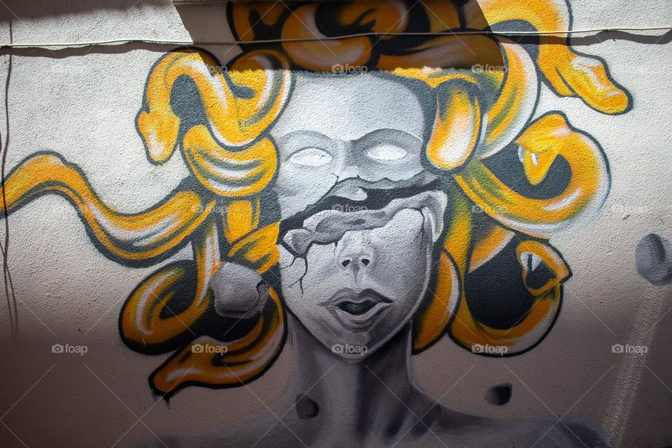 Medusa on the wall 