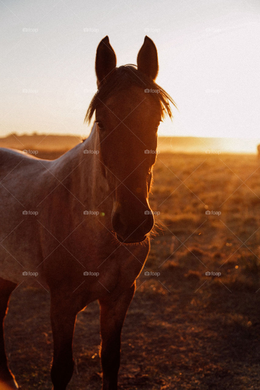 Rio Grande do Sul, Brazil