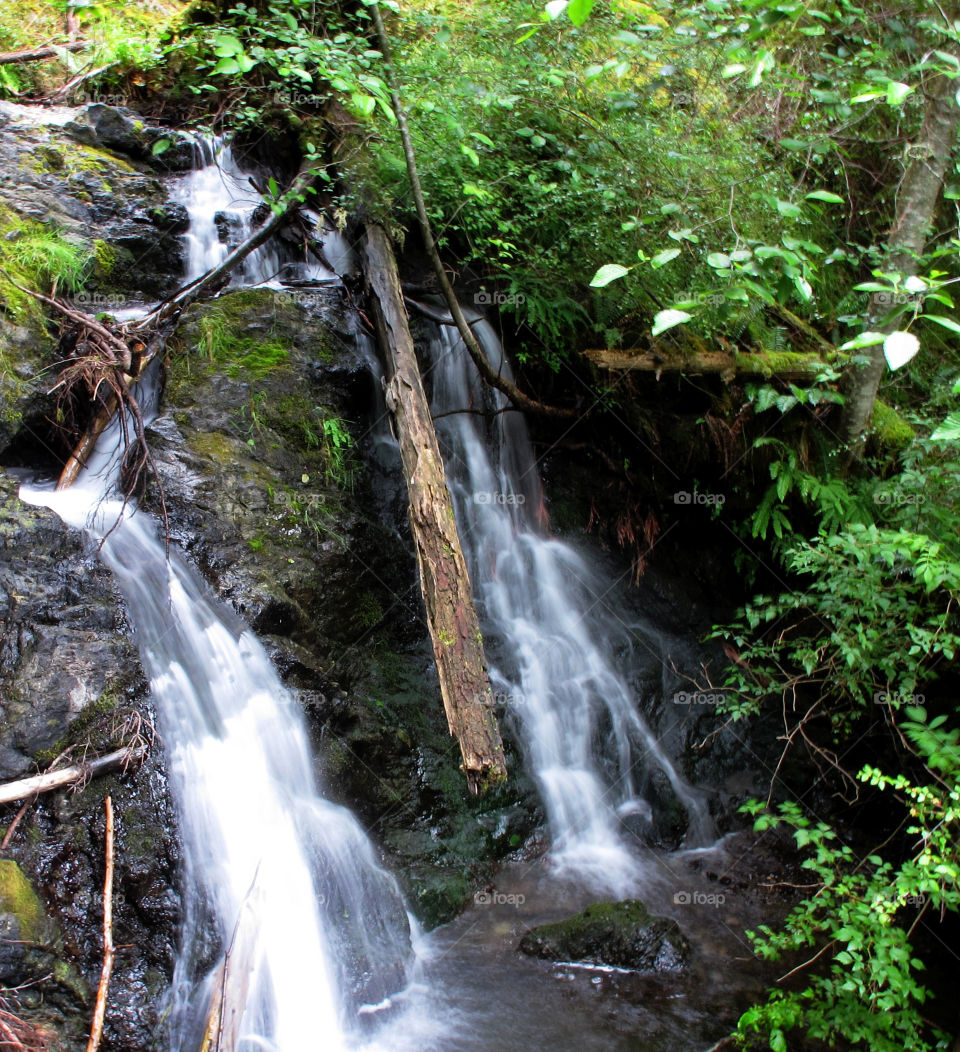 The top portion of Cascade Falls in Moran State Park on Orcas Island. From this point the water falls another 40 ft. to the creek bed below.