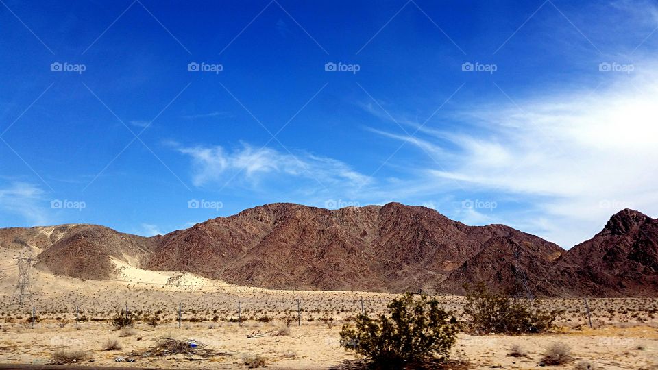 Desert landscape . The Beauty of the desert