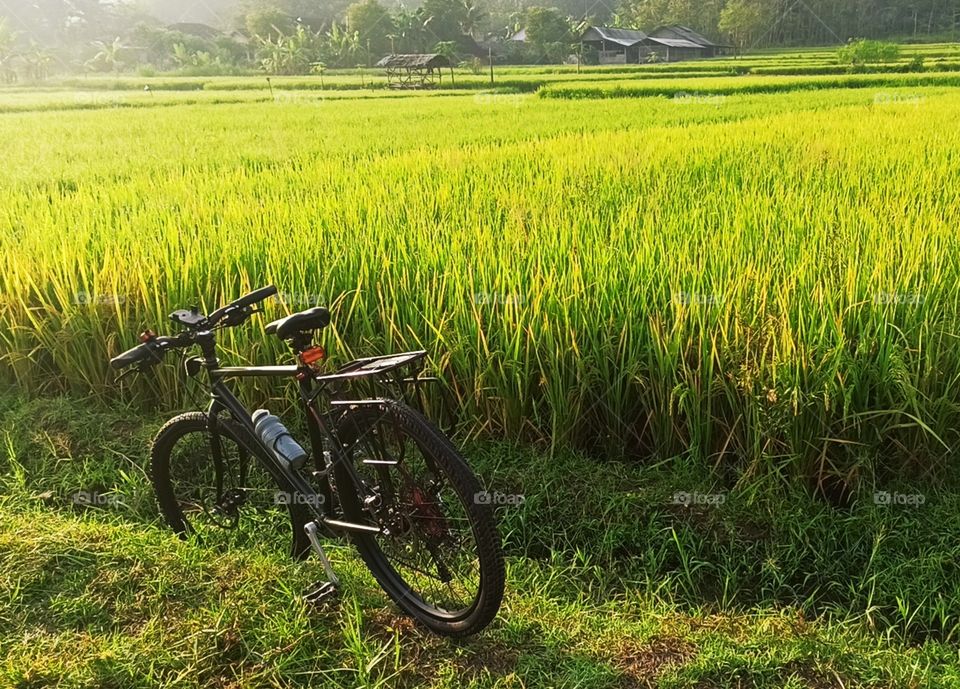 bike and fresh