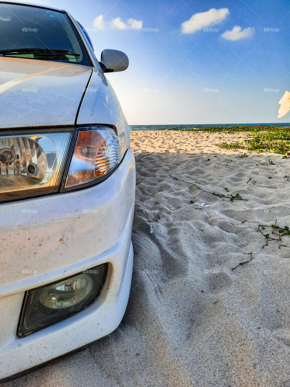 Beach time with Bela queen. Summer evening. Happy times, happy memories. White beauty on beach. Perfect weather, perfect times.