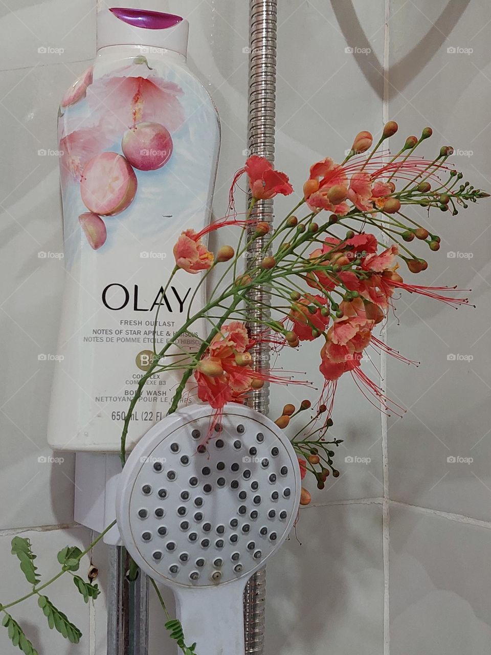 olay shower gel