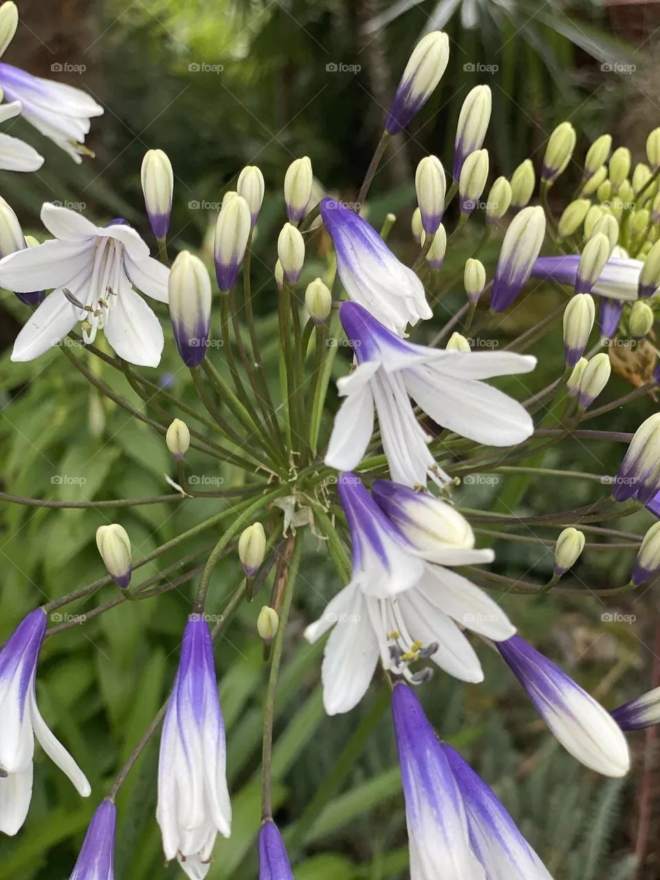 Spring!