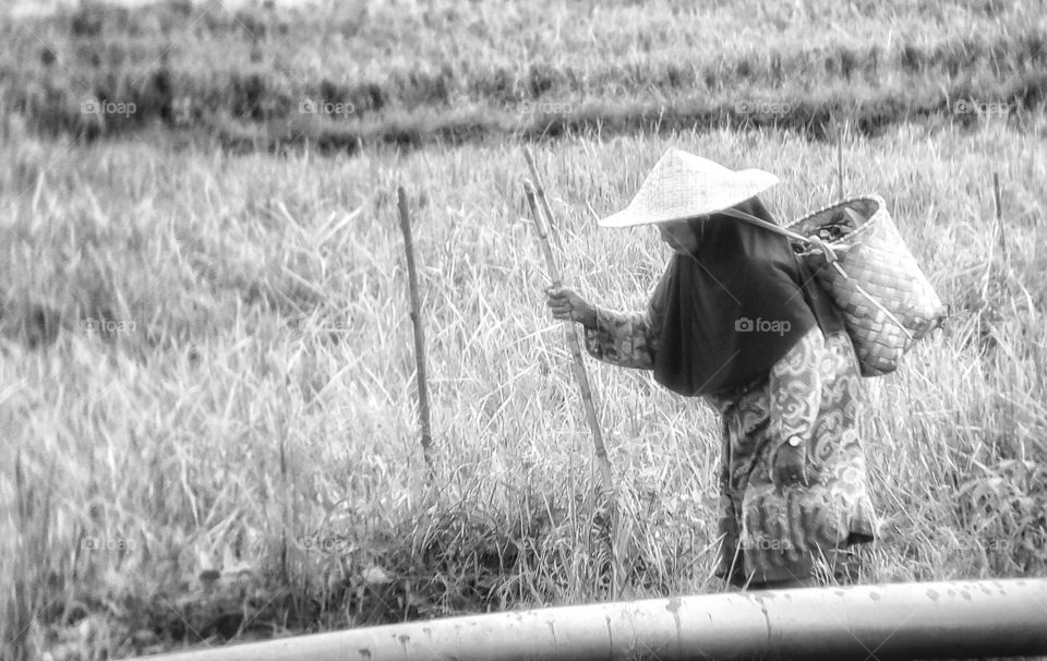 Senior woman walking in grassy field
