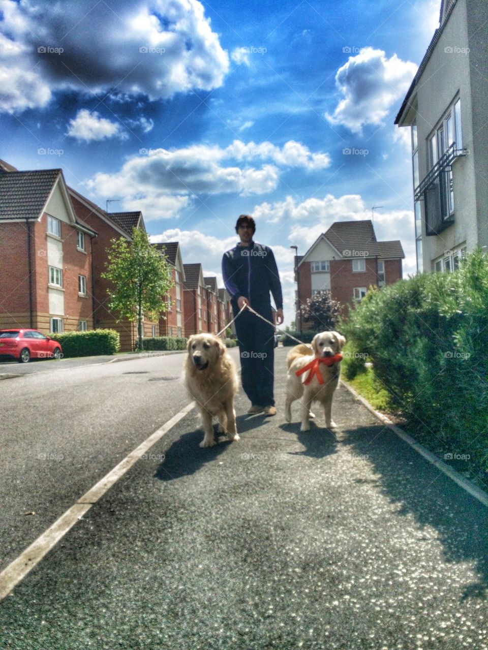 Nocas and Zoe going for a walk with daddy