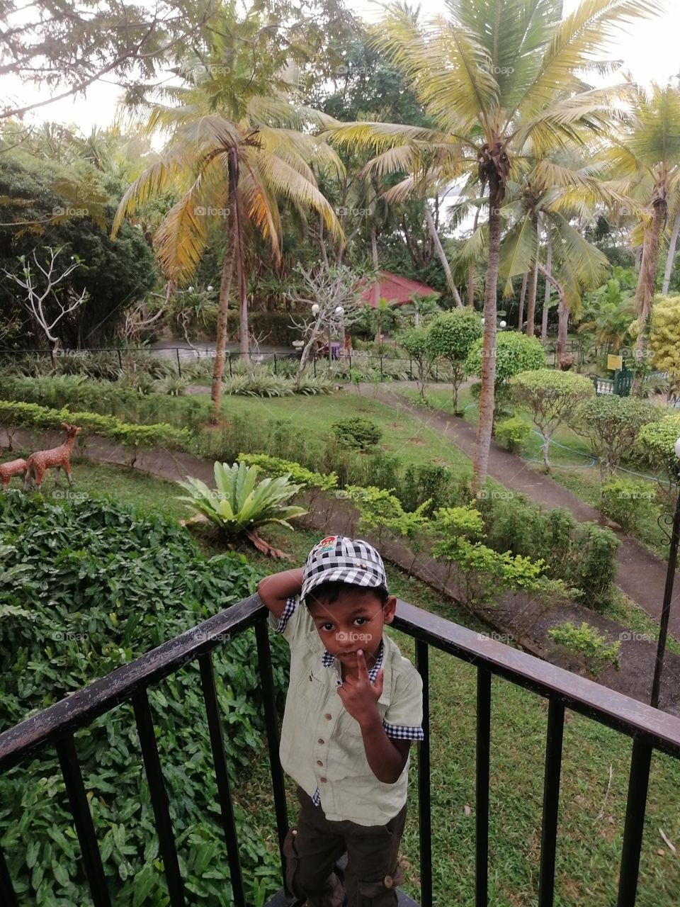 top view of nature garden  sri Lanka sarikkamulla
