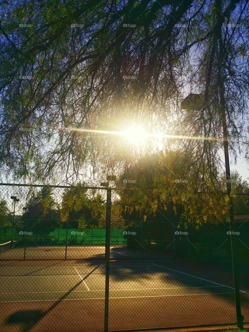 Settled. Time to say goodnight