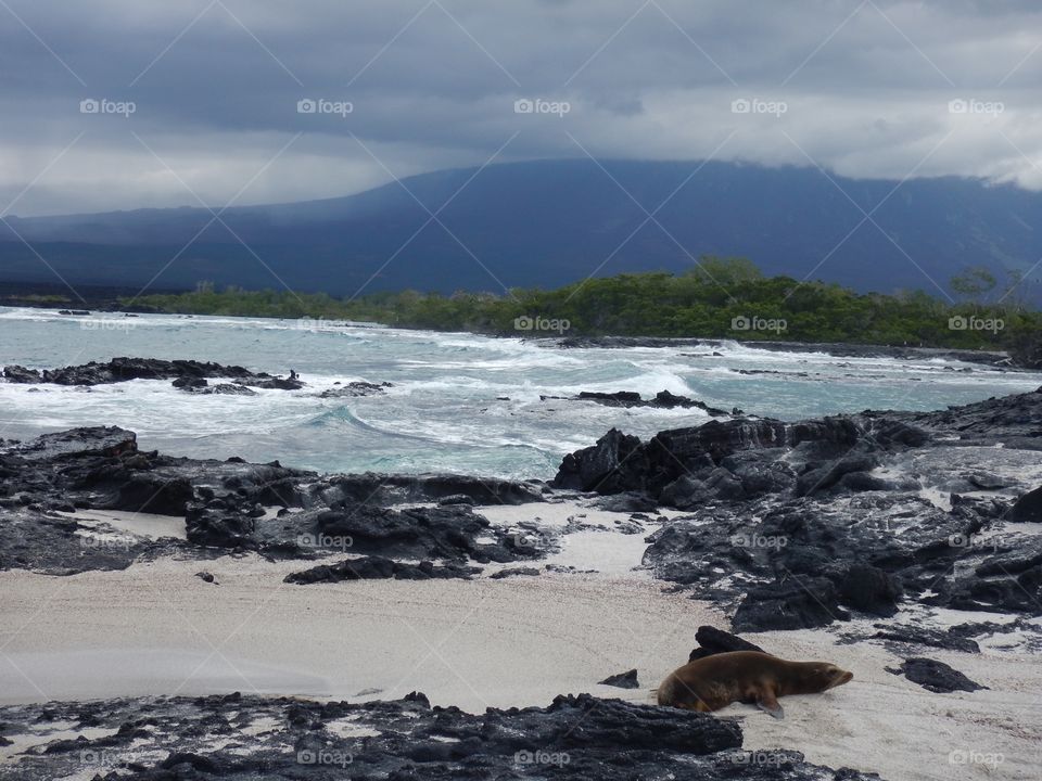 Galapagos scenery 
