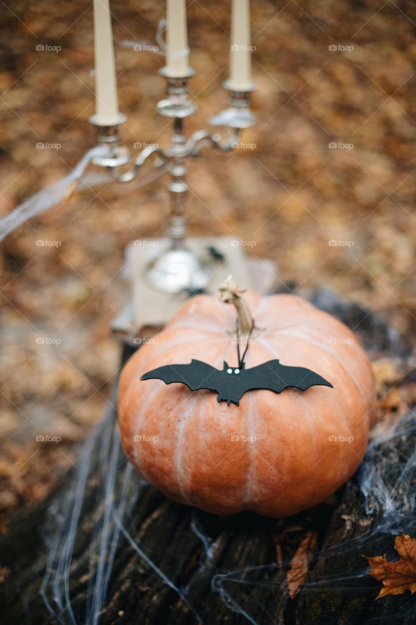 forest, night, holiday, decorations, snacks, fall, orange, black, mystery, Halloween, dark, glowing, candy, flashlight, ginger, fun, cute, fog, gloomy, burning, candle, flame, Jack, face, smile, autumn, symbol, skeleton, dark, above, scary, good, funny, background, lonely, sadness, darkness, magic, event, bat, Ghost, concept, trick, emblem, Phantom, pumpkin face, pumpkin, October, September, werewolf, mage, terrible, grim, supernatural, treat, trick or treat, horrible, wizard, Jack-lantern