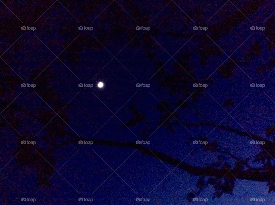 Moon