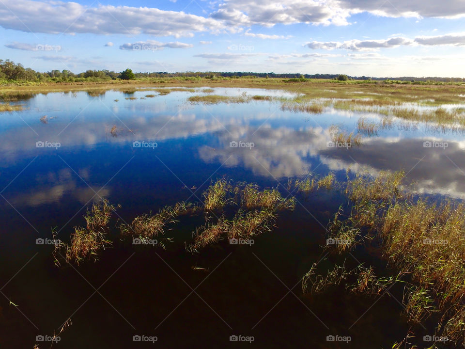 Blue Sky reflection on wet and grassy green lands
