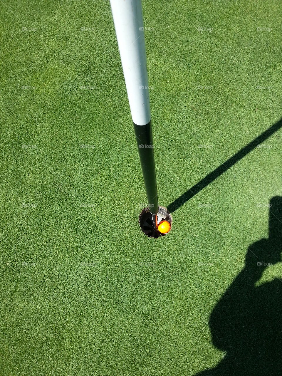 Golf_131203. Golf ball in hole
