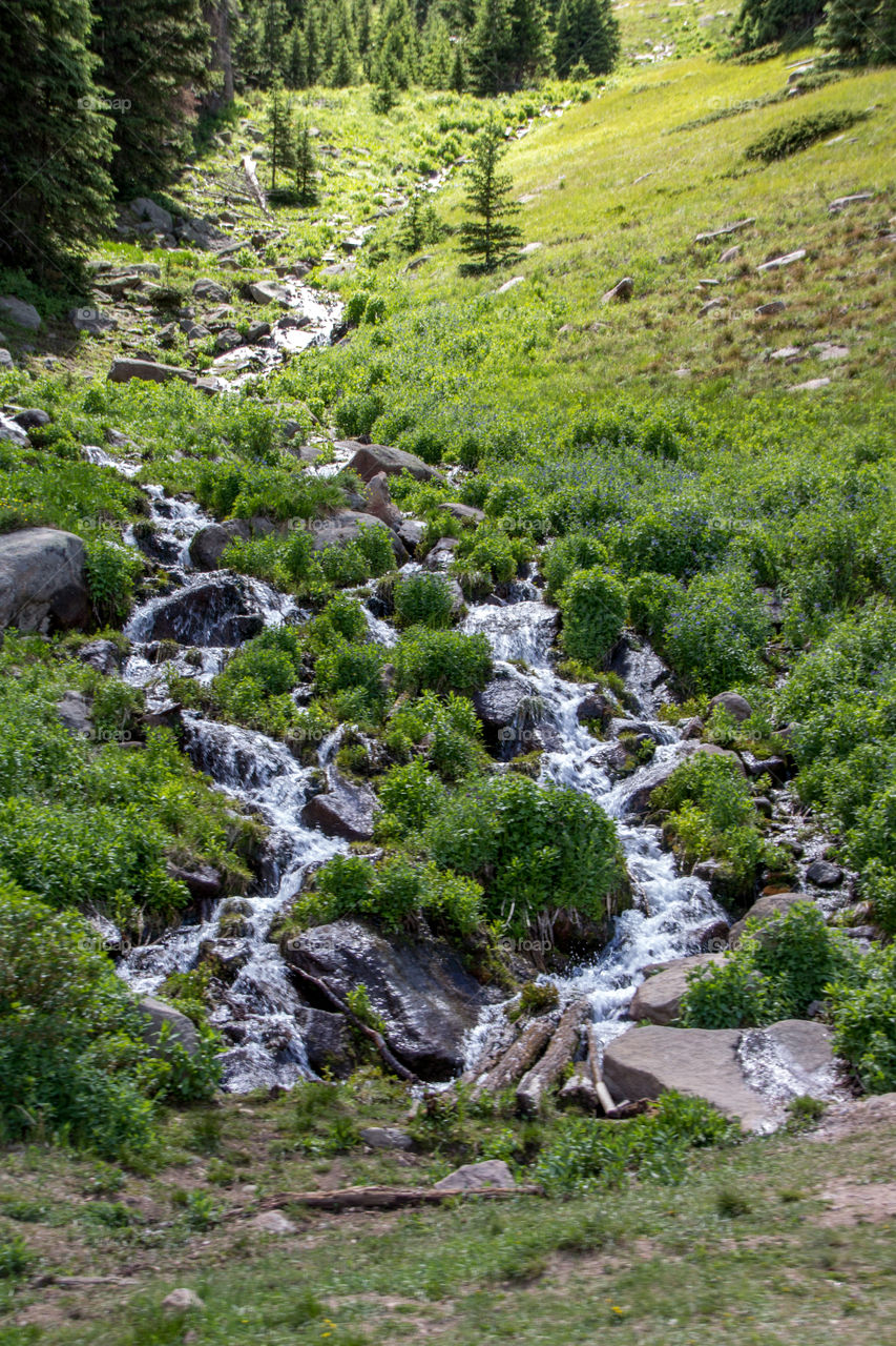 Taken in Rocky Mountain National Park, this photograph features a natural stream and waterfall caused by snow runoff on the mountains. 