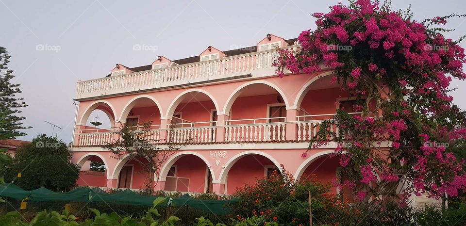 Pink it's beautiful 🥰🌞