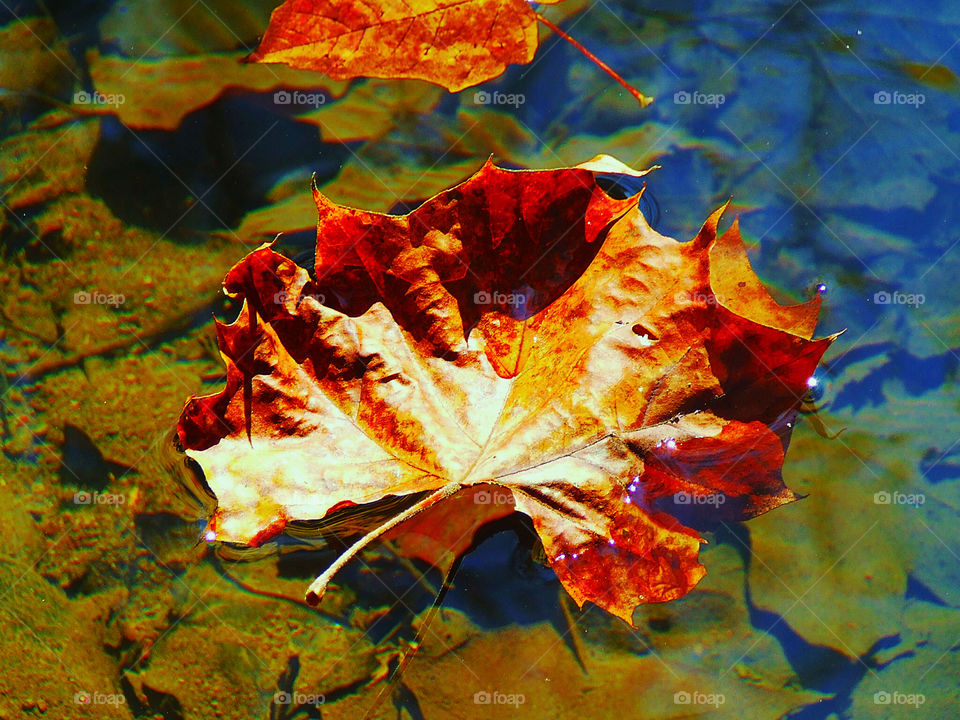 Lazing on a sunny afternoon 