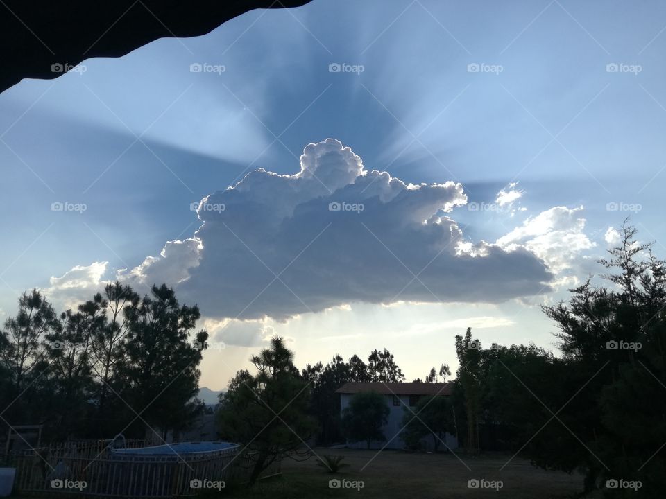 Miraculous Cloud