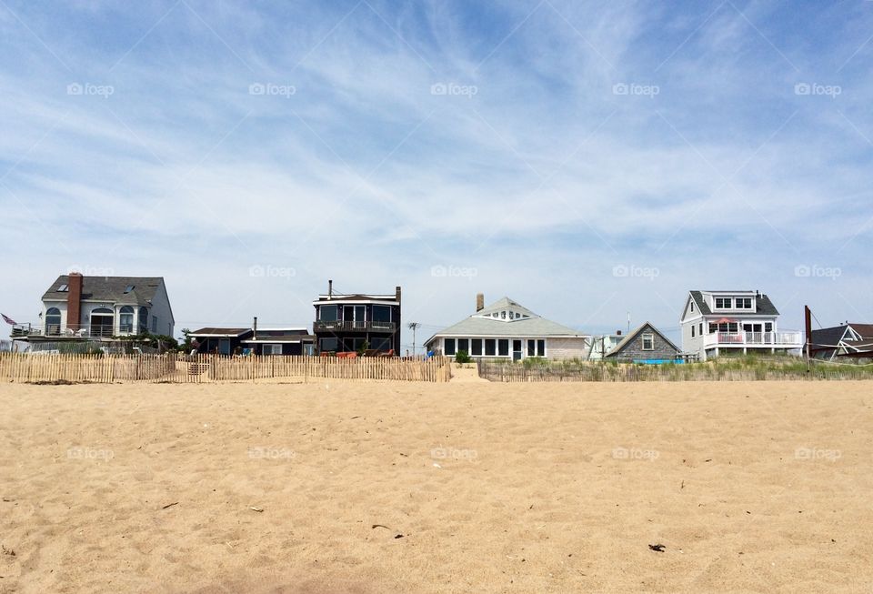 Plum island