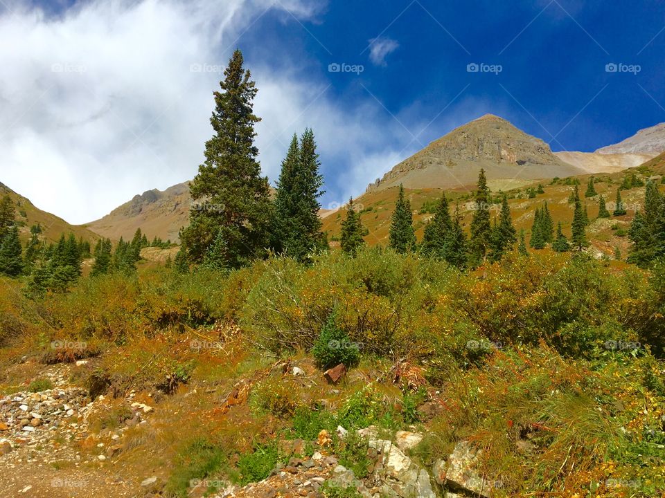 Yankee Boy Basin 