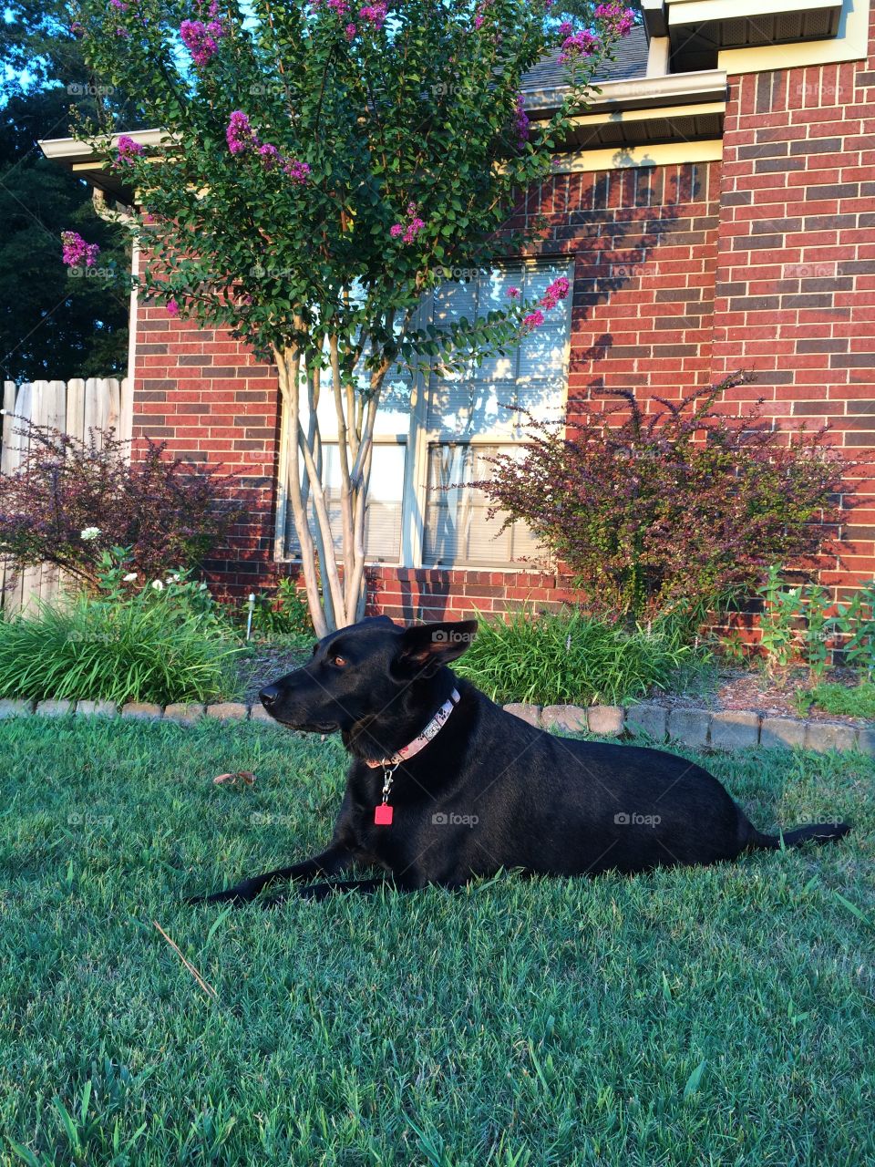 Waiting for the Sun to Set. Leesa enjoys the last rays of sunshine before going inside