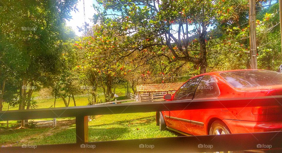 carro vermelho Honda civic