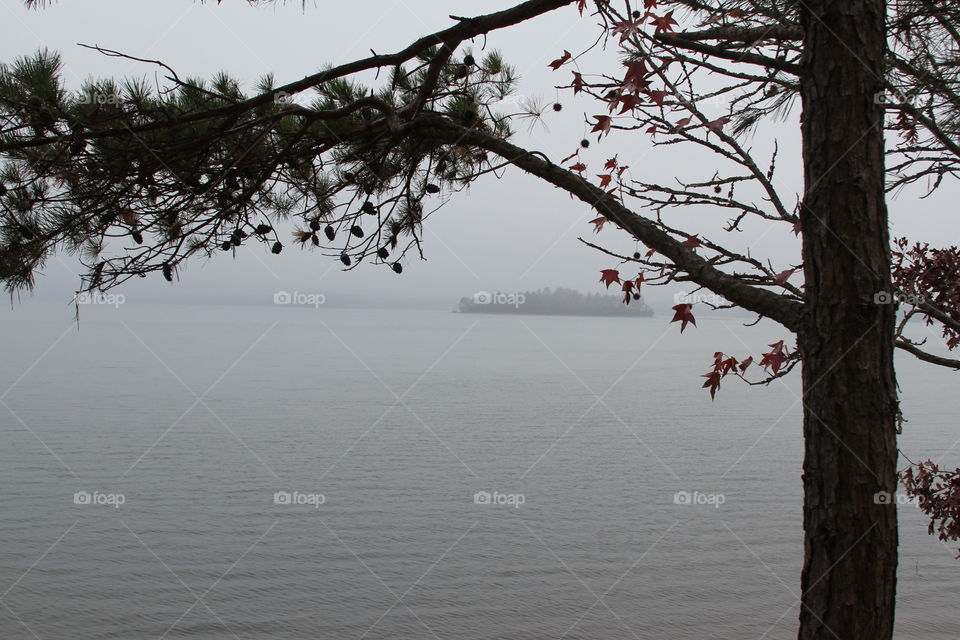 rainy day on the lake