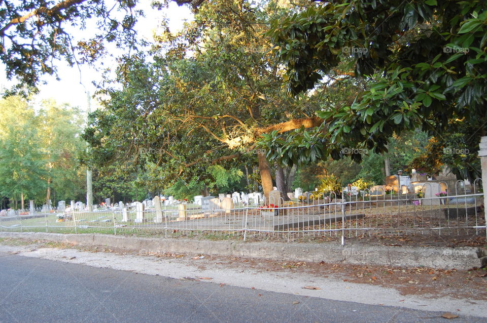 cemetery