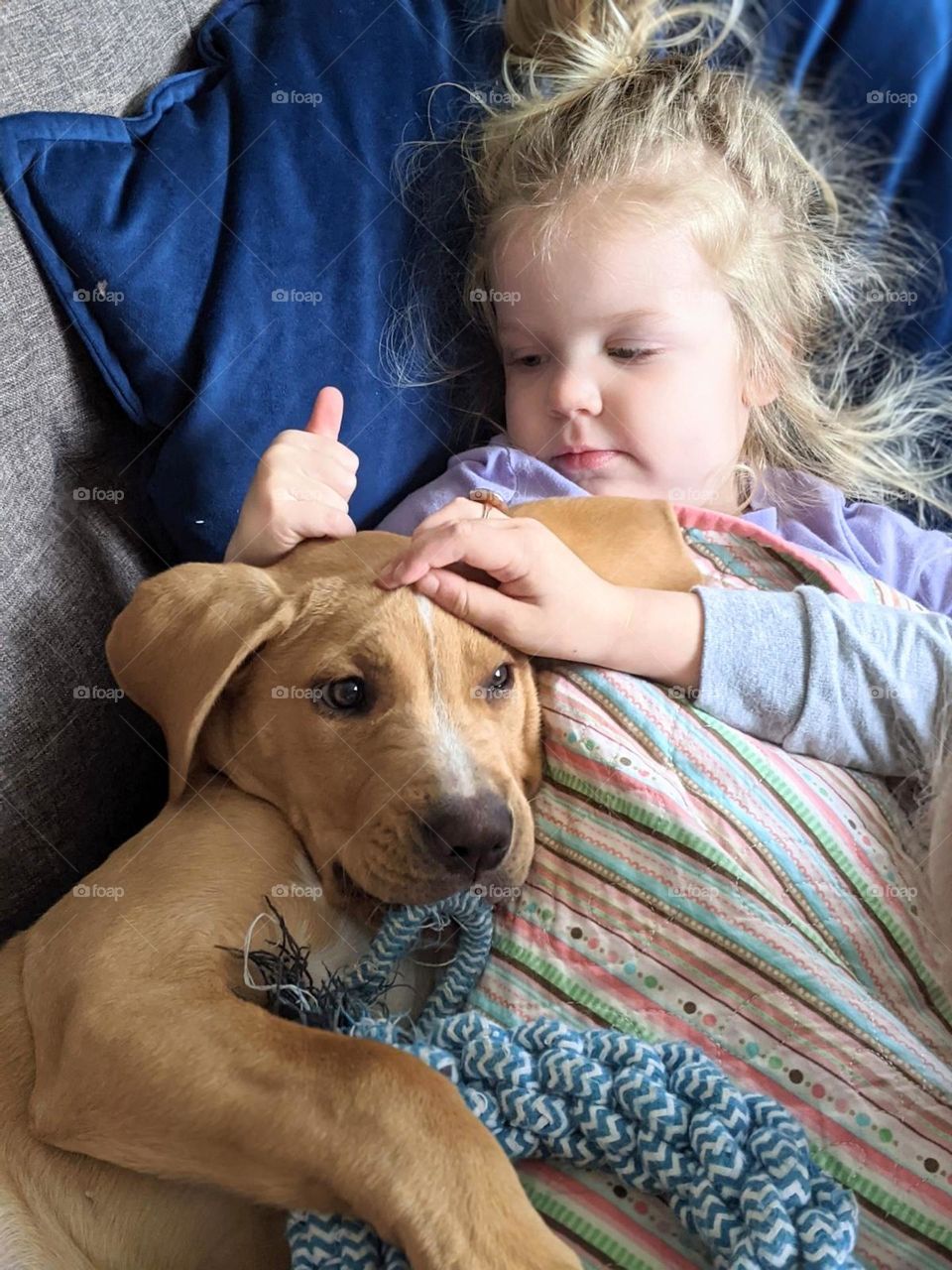 little girl lays with her lab mix puppy on her lap and pets his head, toddler and puppy snuggle, little puppy and little kids, puppy wrinkles