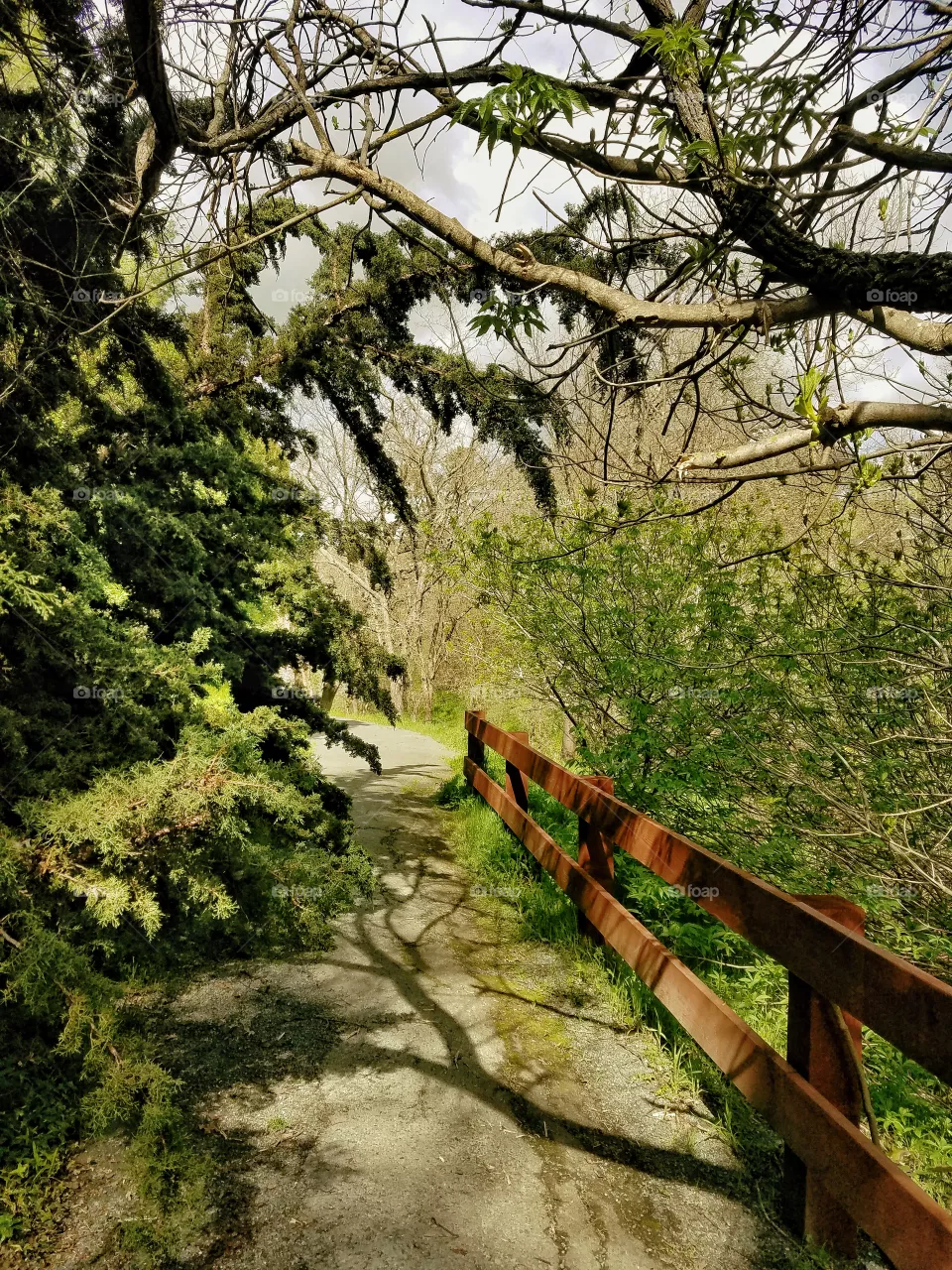 Forward