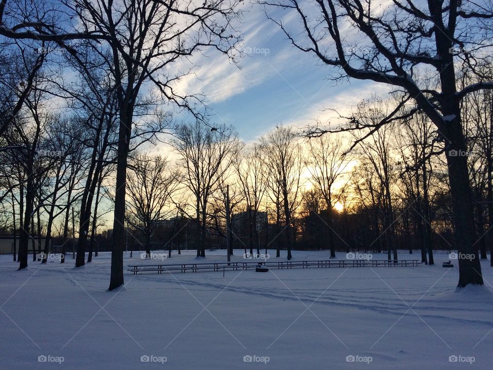 Burgoyne Woods Park