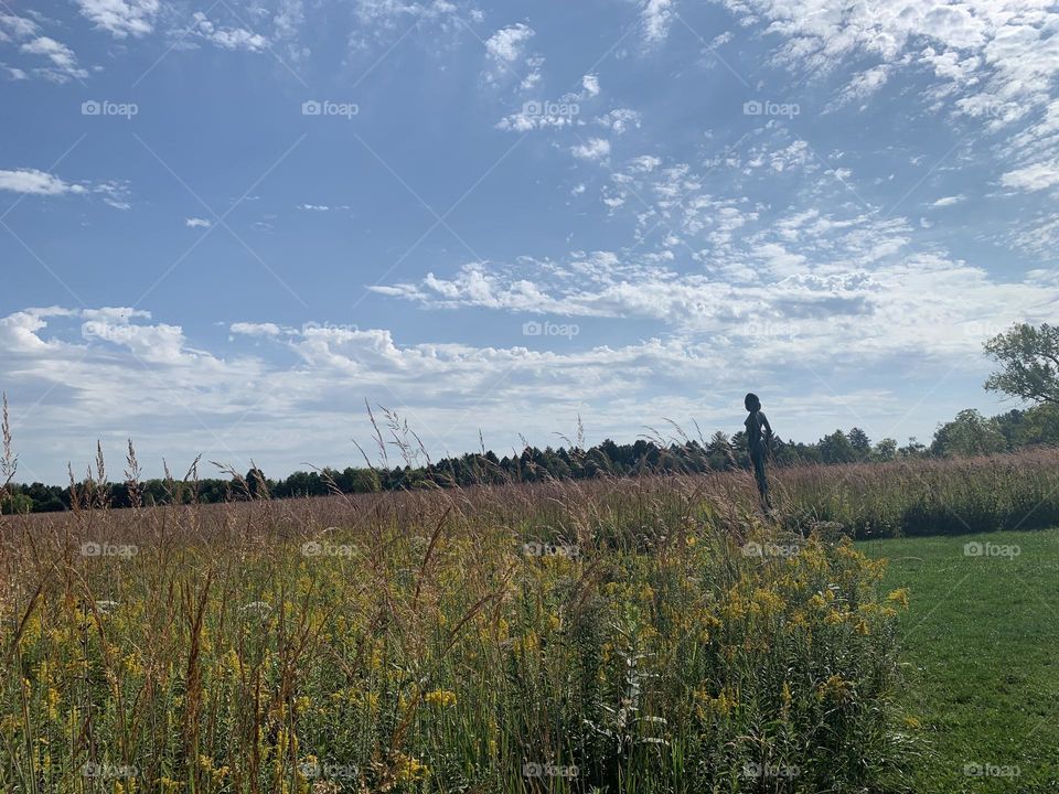 Watcher in a wheat field
