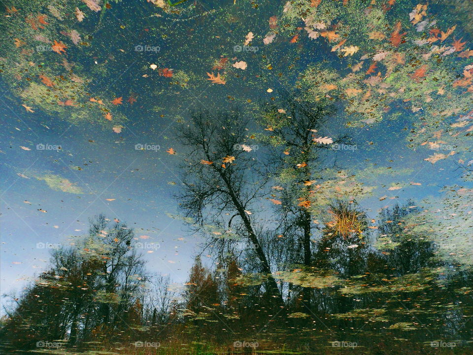 Reflection of autumn