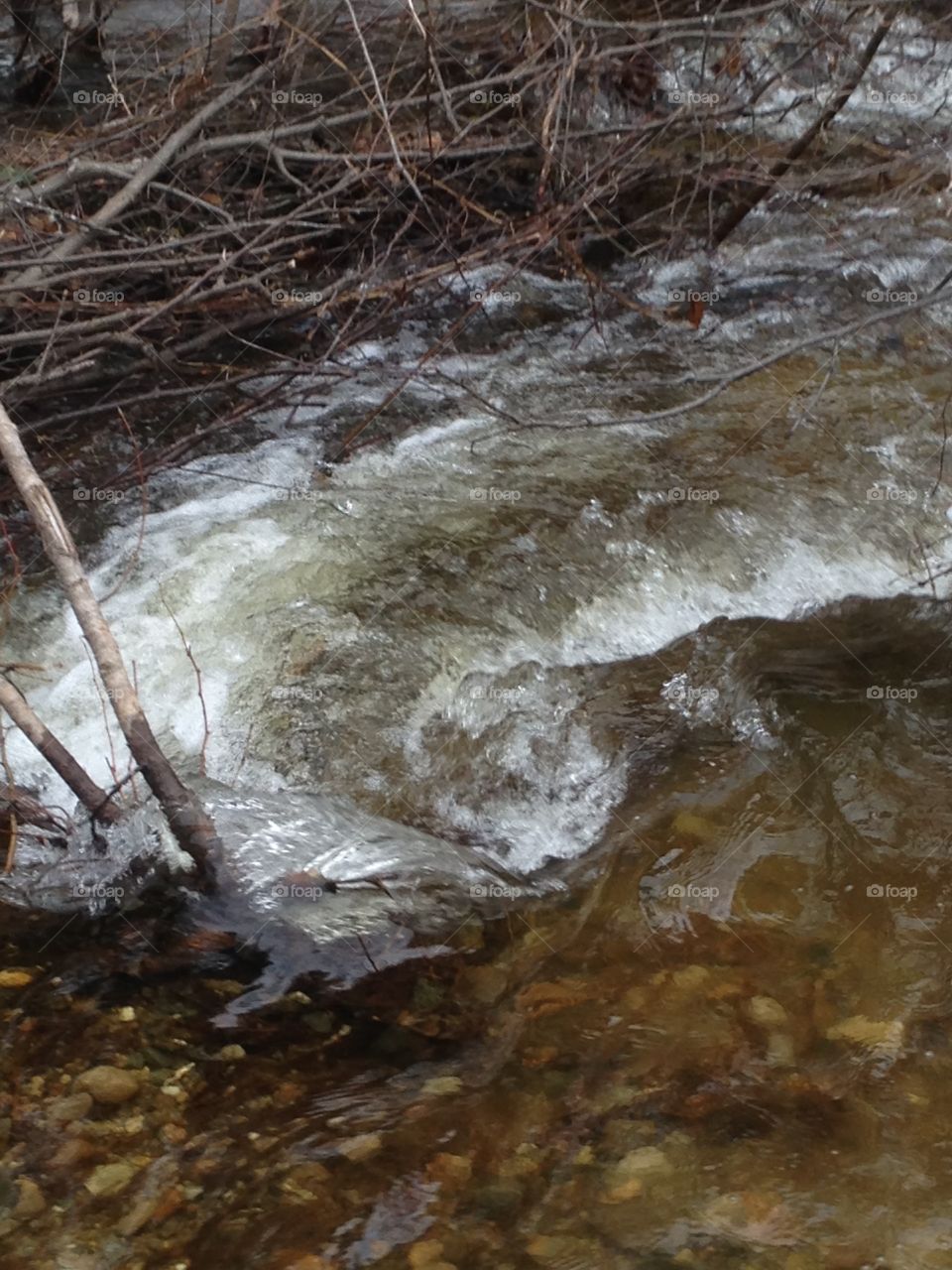 Water, River, Nature, Environment, Stream