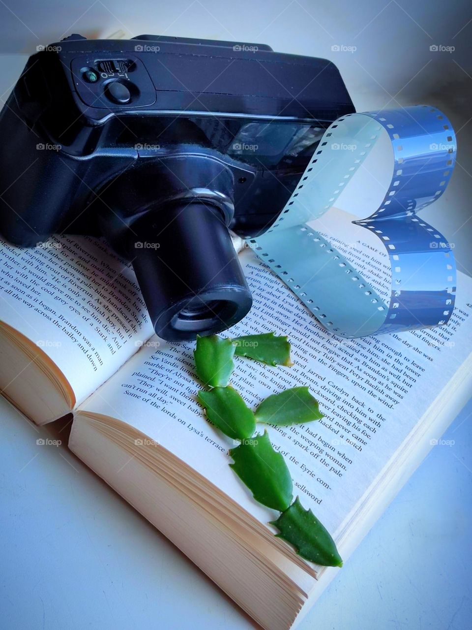 An open book lies on a white background.  On top of the book is a black camera holding a heart-shaped film.  On the book lies a green stem of a cactus in the shape of the letter "F"