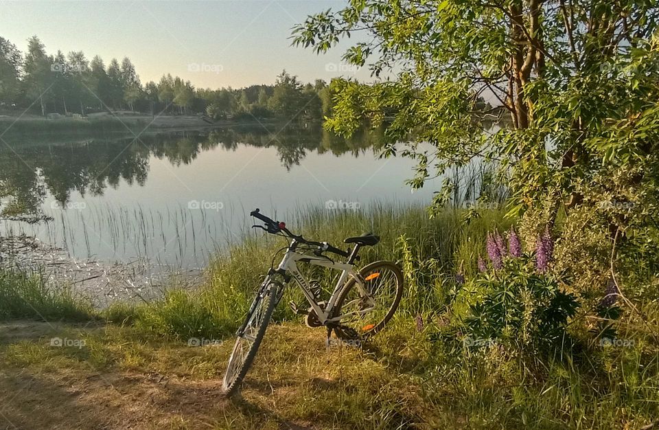 bike 🚲 outside beautiful nature landscape lake shore