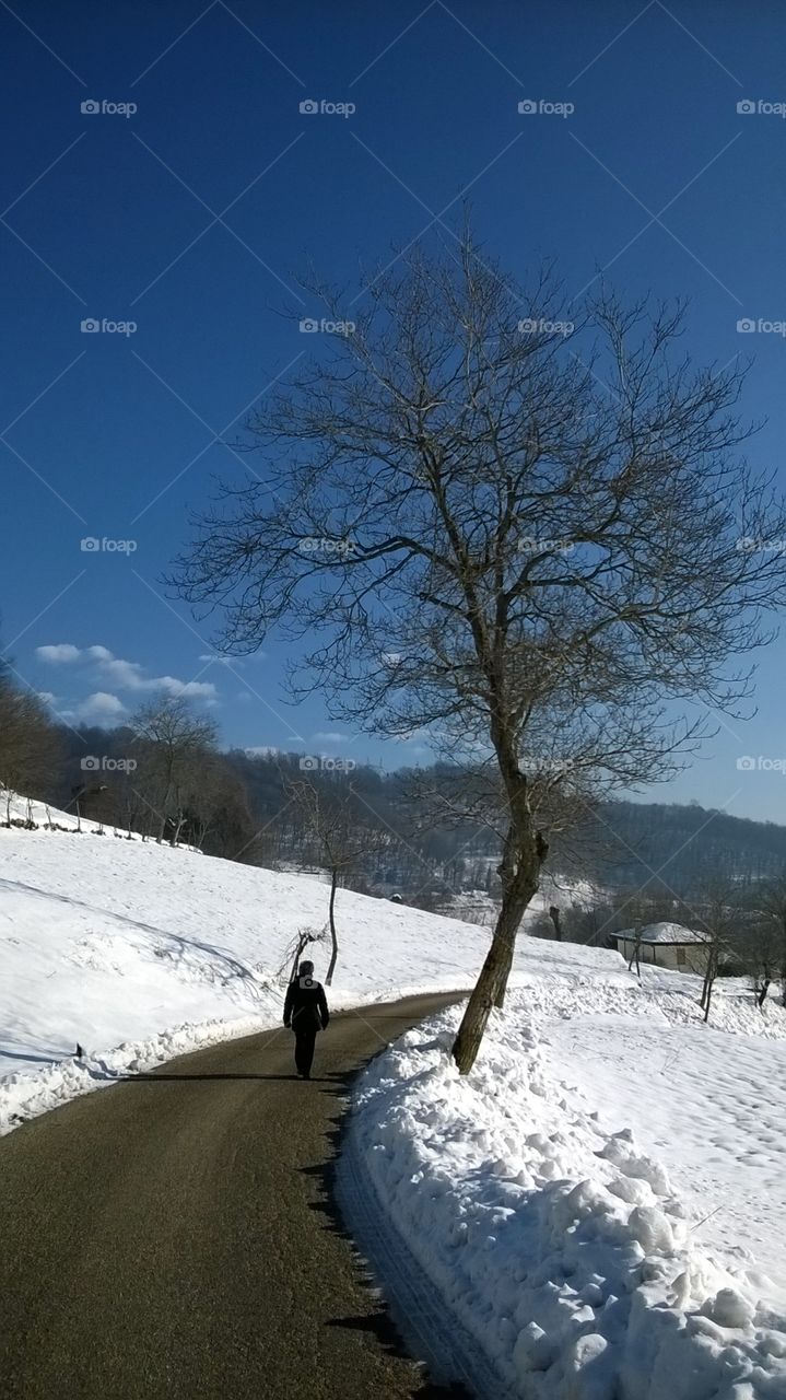 Walking in the snow