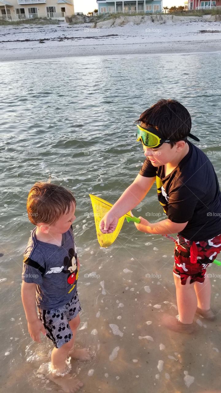 two young boys collecting shells with a net at a beach near gulf of Mexico