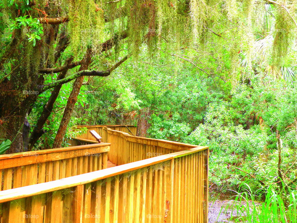 Marsh Walkway. Hilton Head Island, South Carolina nature trail.