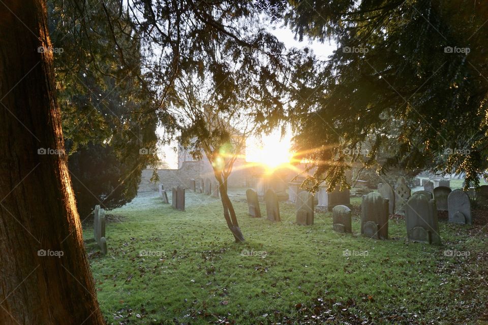 Sunset in the Graveyard ... 