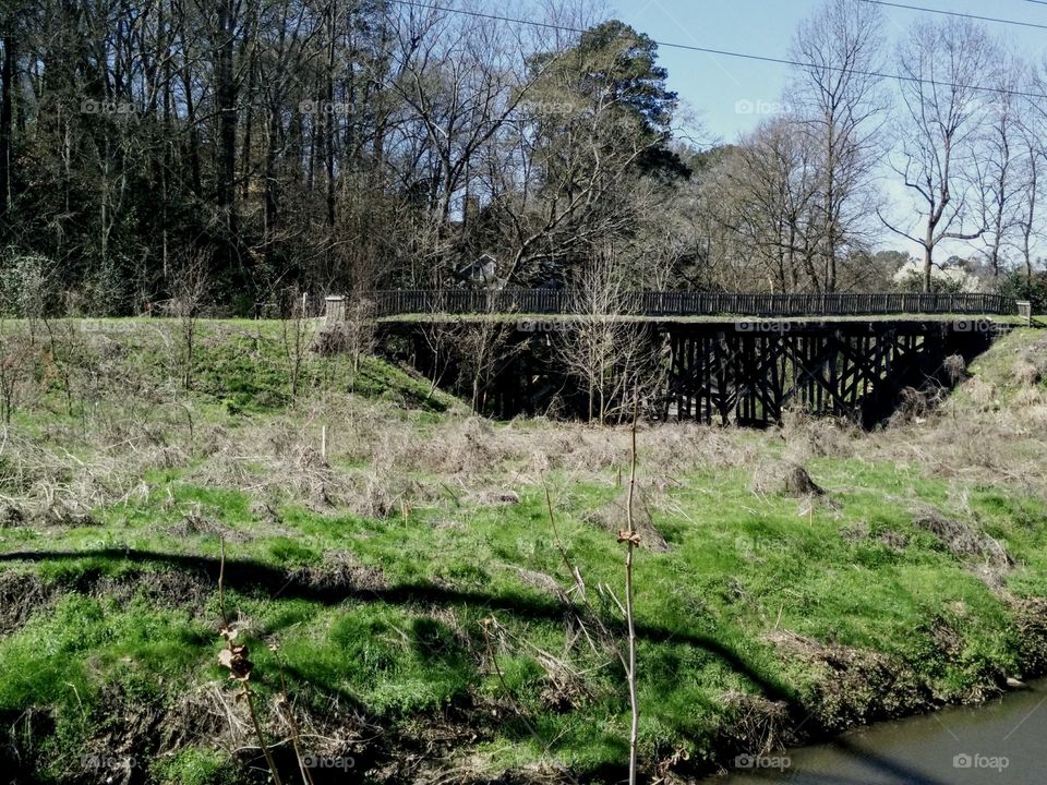 Bridge in woods