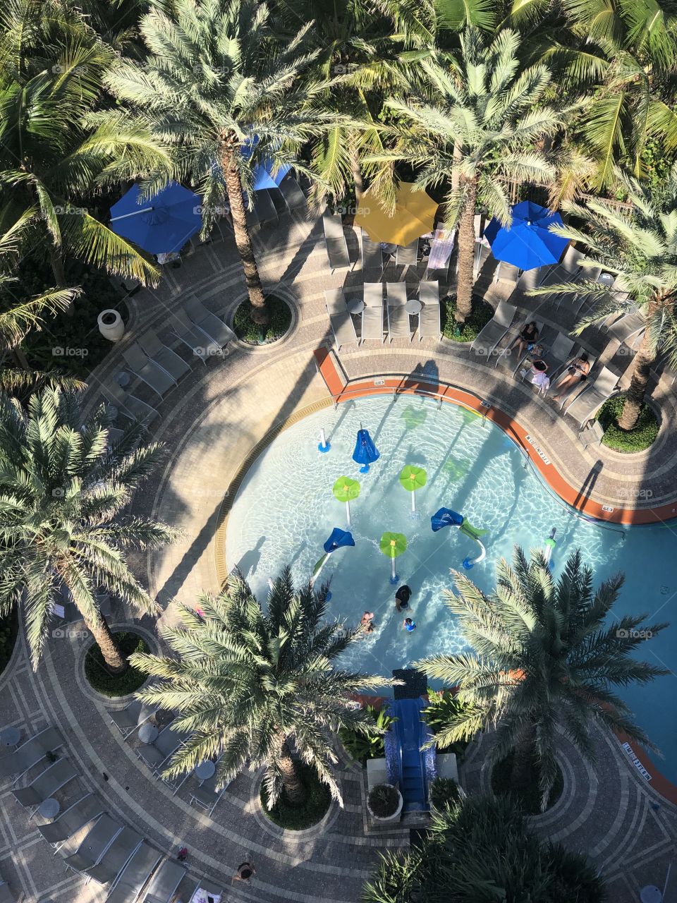 Resort pool seen from above, West Palm Beach, Florida, USA 