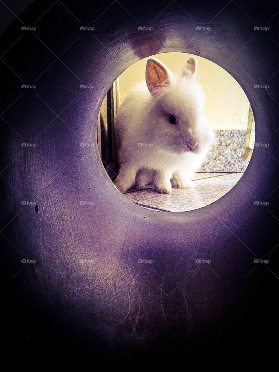 At the end of the tunnel