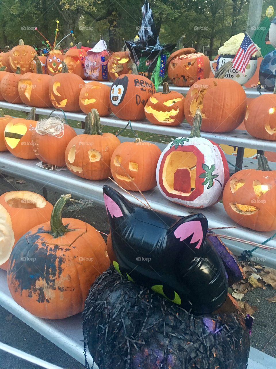 Black cat pumpkin and many more carvings 