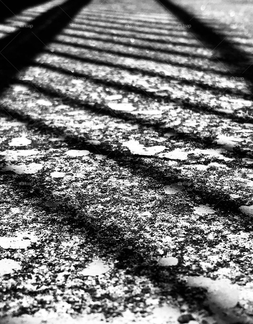 Fine sunshine on a fence. 