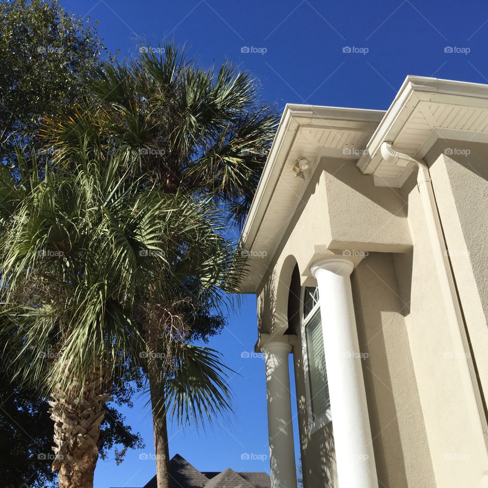 White structure and palm trees 