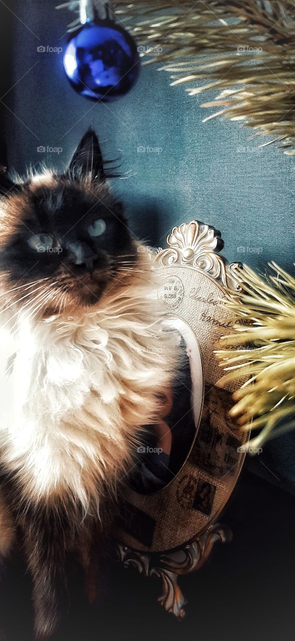 Before the jump ....