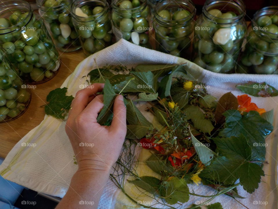 Saving raw tomatoes for winter